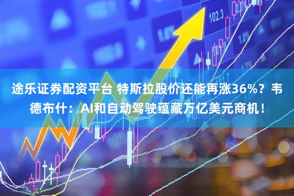 途乐证券配资平台 特斯拉股价还能再涨36%？韦德布什：AI和自动驾驶蕴藏万亿美元商机！