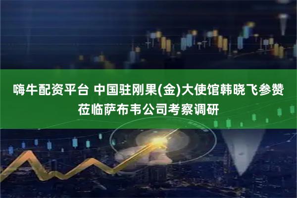 嗨牛配资平台 中国驻刚果(金)大使馆韩晓飞参赞莅临萨布韦公司考察调研